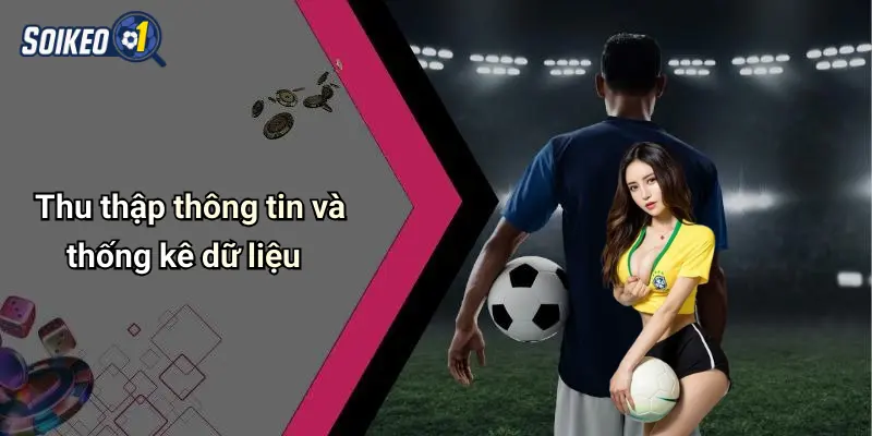 Thu thập thông tin và thống kê dữ liệu