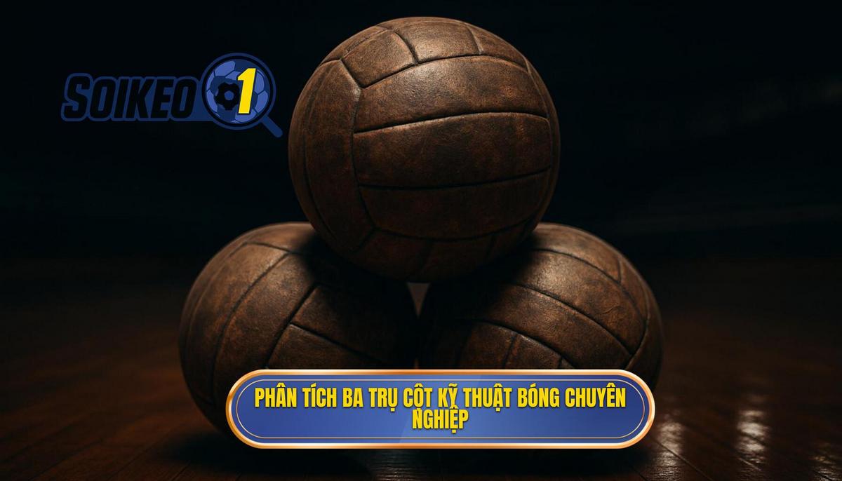 Phân tích ba trụ cột của Kỹ thuật đánh chặn bóng chuyên nghiệp