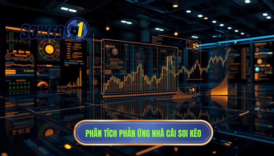 Phân tích phản ứng nhà cái: Nghệ thuật đọc vị biến động cược đỉnh cao